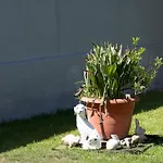 Casa Coelho וילה