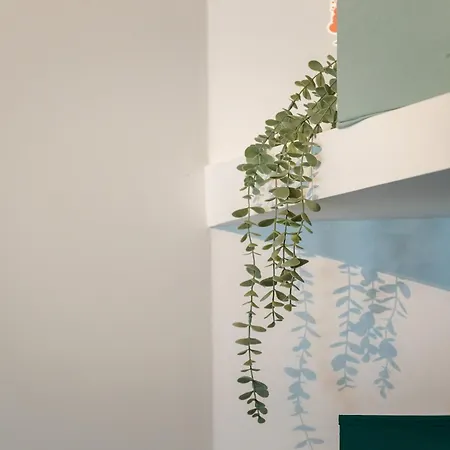 Βίλα Casa Coelho Αλμπουφέιρα