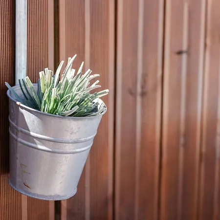 Casa Coelho Βίλα