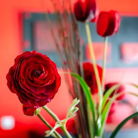 Villa Casa Coelho Albufeira