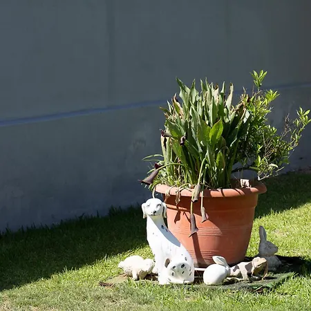 Casa Coelho Vila