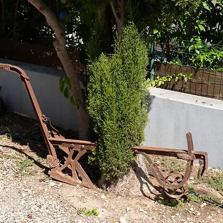 Vila Casa Coelho Albufeira
