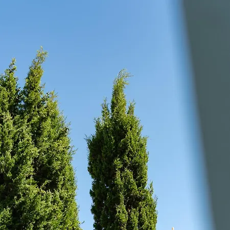 Casa Coelho Albufeira