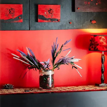 Casa Coelho אלבופיירה