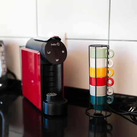 Casa Coelho וילה אלבופיירה