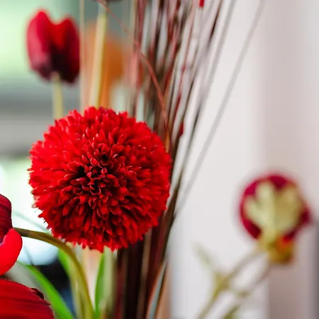 Casa Coelho וילה