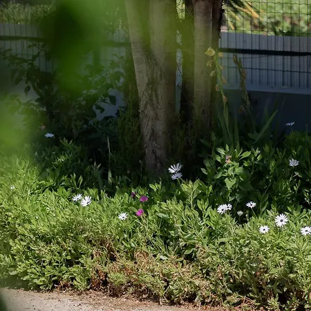 וילה Casa Coelho *